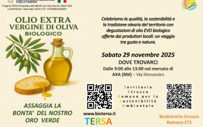 Assaggia la bontà del nostro oro verde. Vieni al mercato di AXA29 novembre 2025
